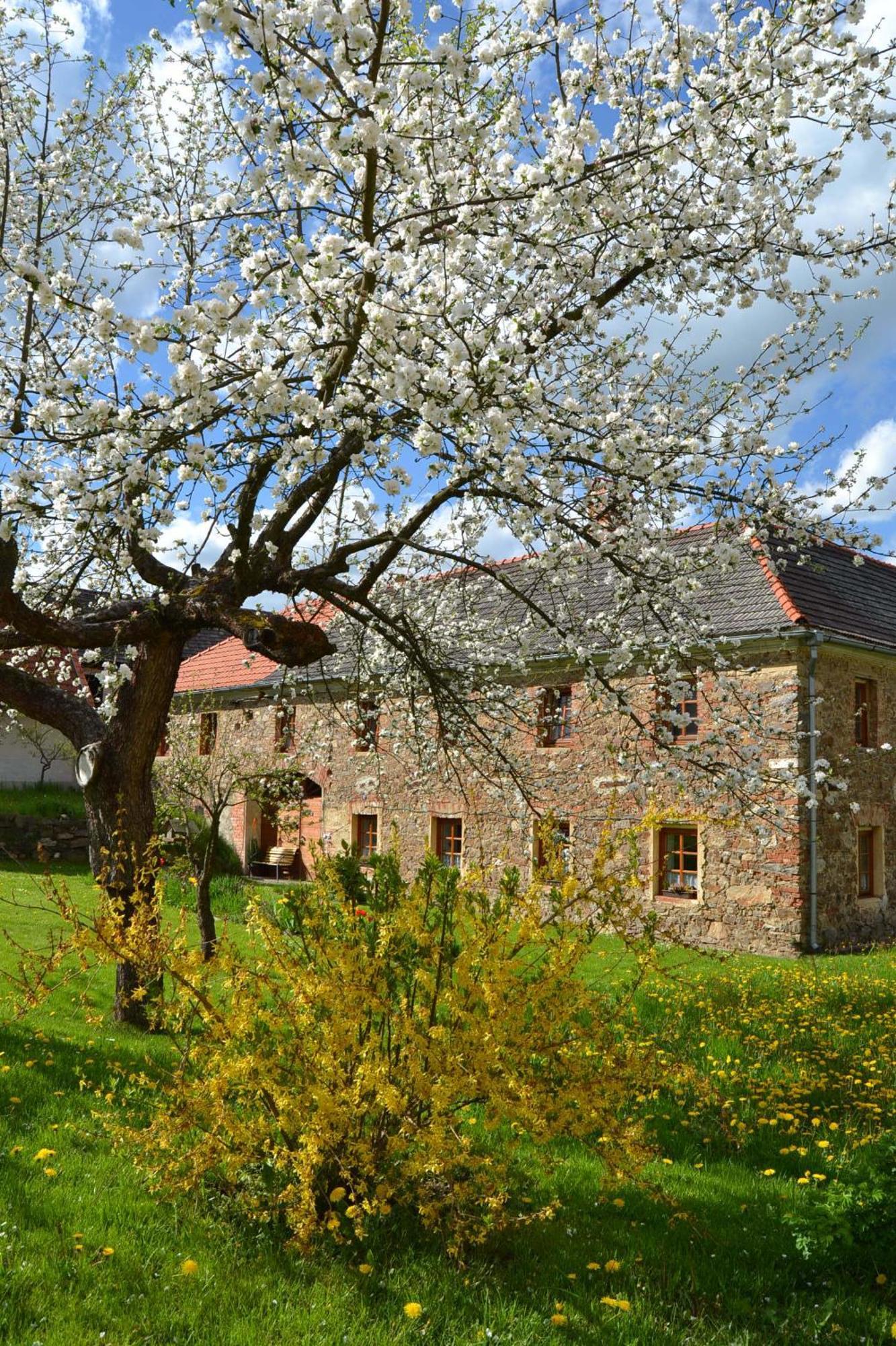 Appartement Selsky Dvur à Kájov Extérieur photo